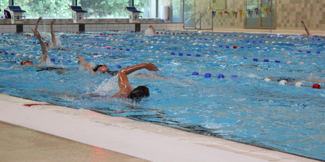 Wedstrijdzwemmen | ZuiderZeeZwemmers